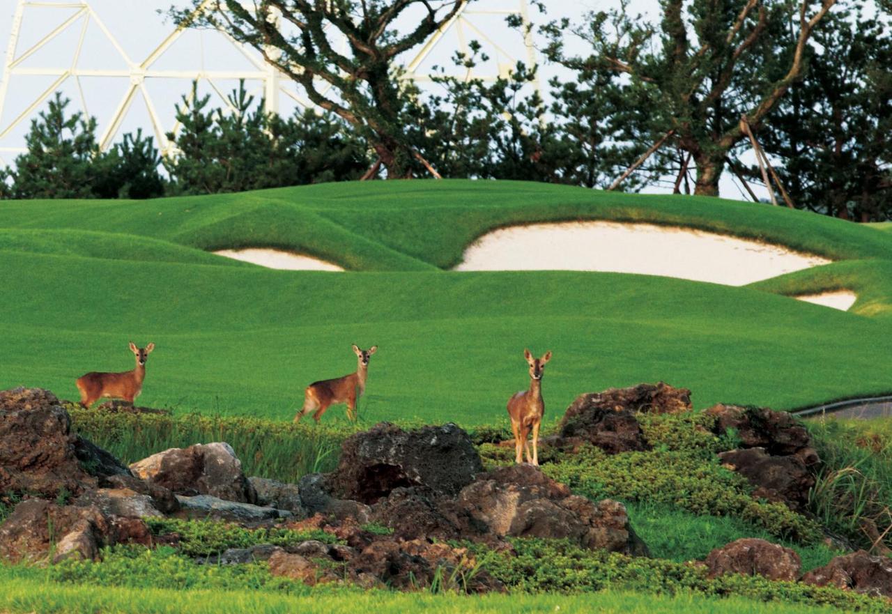 Ardenhill Resort & Golf Jeju Dış mekan fotoğraf